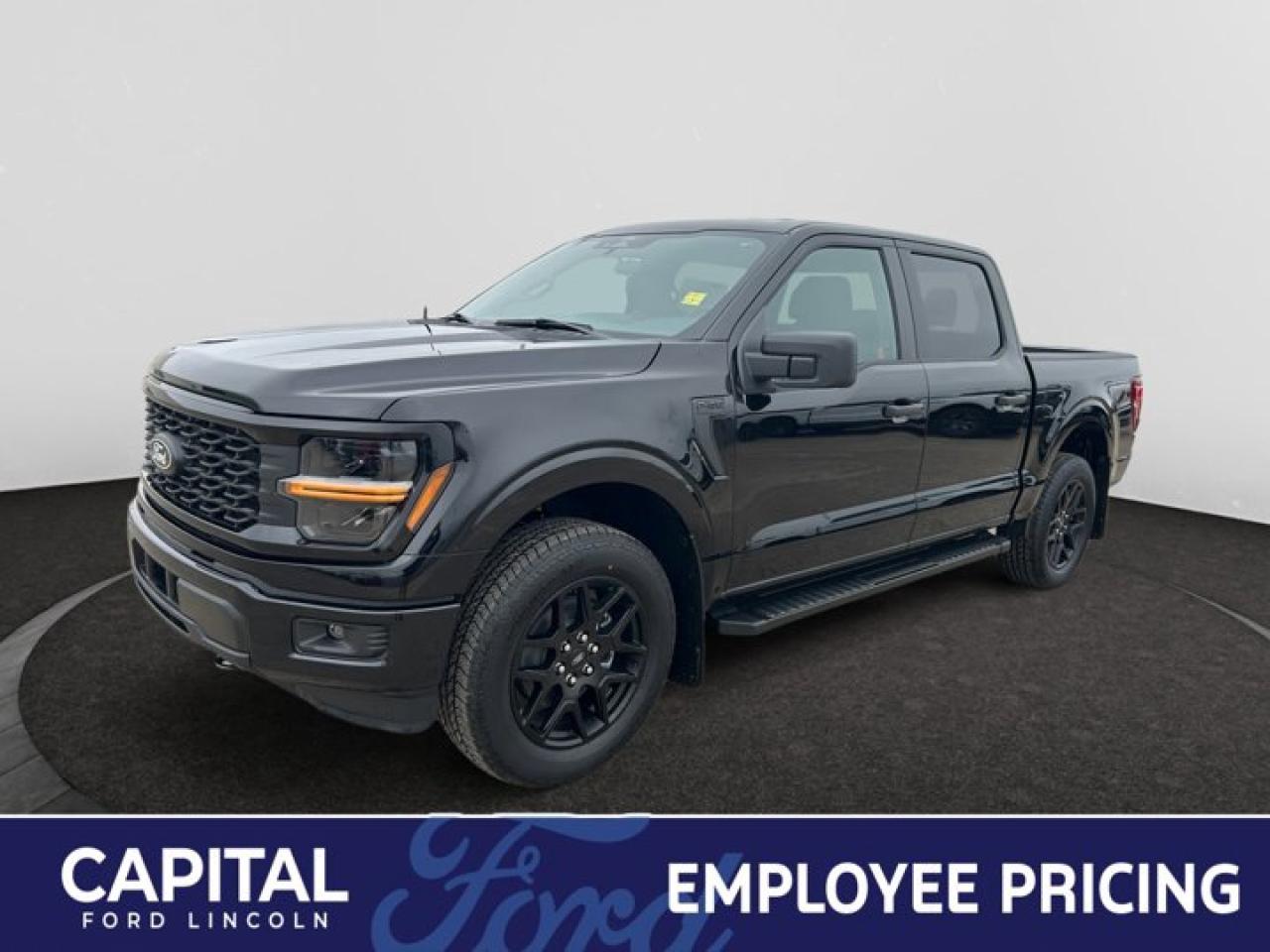 New 2025 Ford F-150 STX for sale in Regina, SK