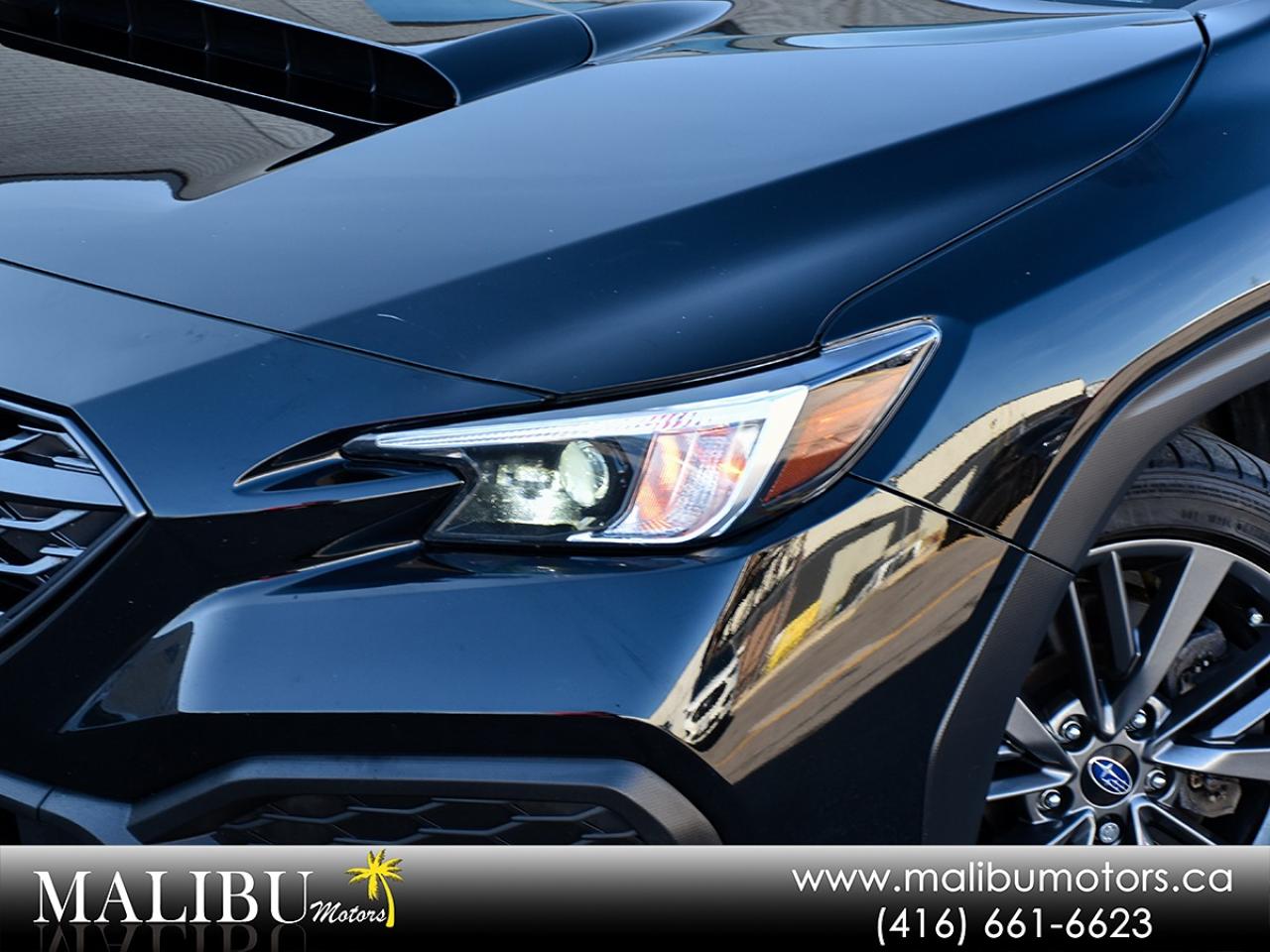 2023 Subaru WRX  Photo