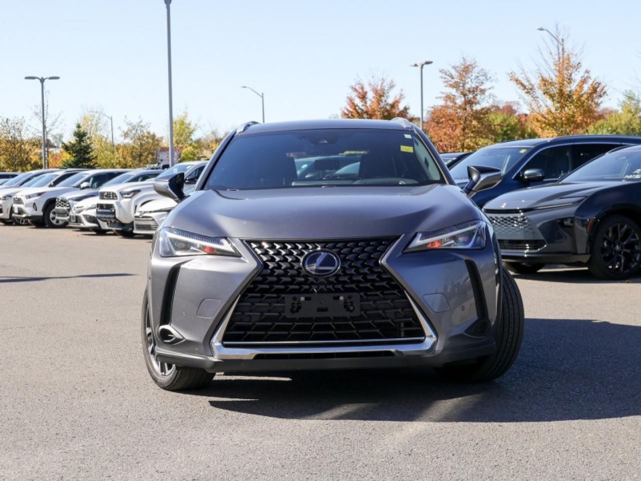 2020 Lexus UX Luxury Package  - Luxury Package - $243 B/W Photo4