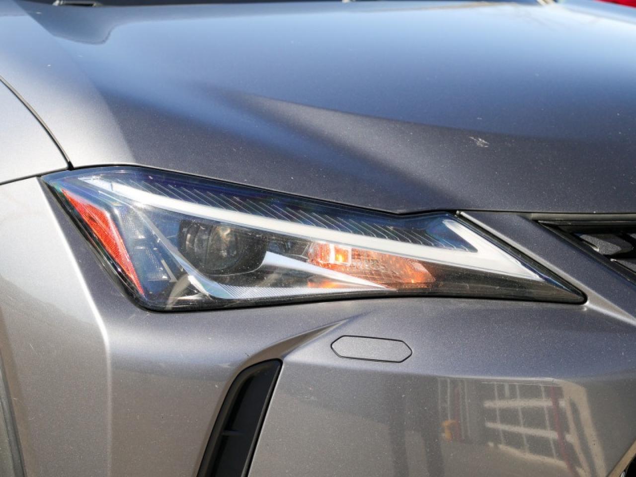 2020 Lexus UX Luxury Package  - Luxury Package - $243 B/W Photo