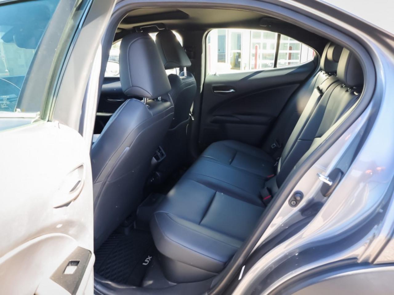 2020 Lexus UX Luxury Package  - Luxury Package - $243 B/W Photo