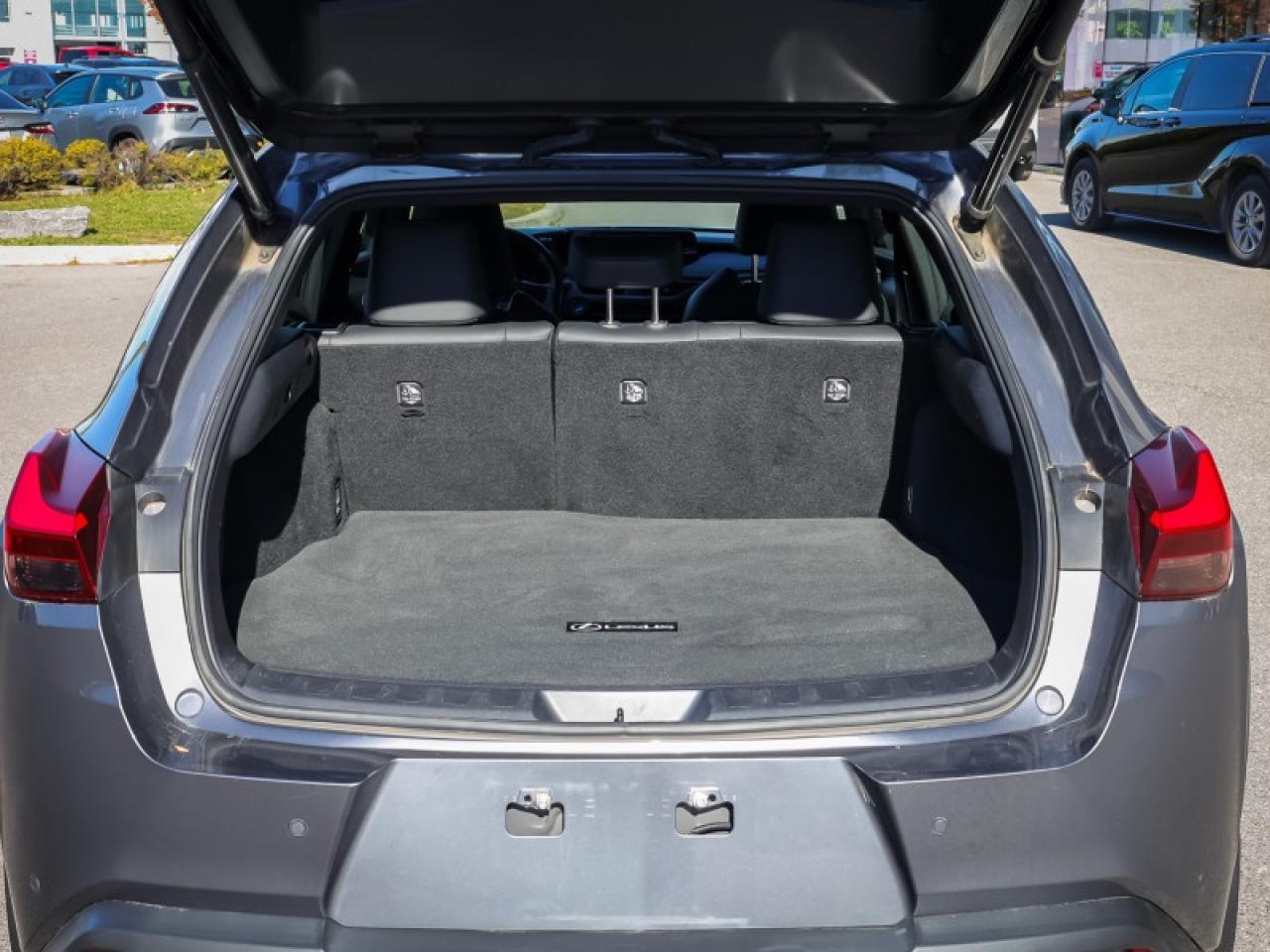 2020 Lexus UX Luxury Package  - Luxury Package - $243 B/W Photo