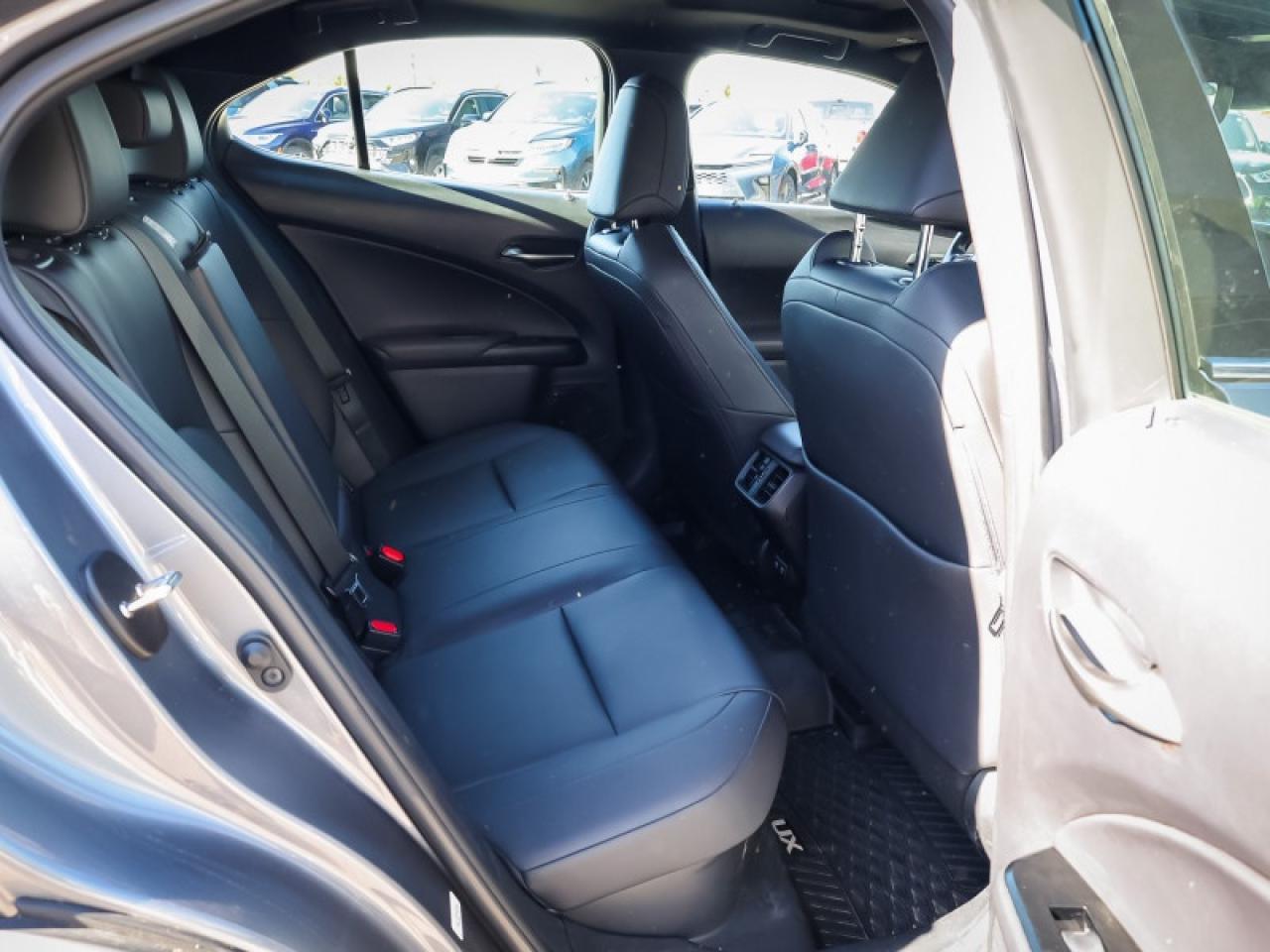 2020 Lexus UX Luxury Package  - Luxury Package - $243 B/W Photo