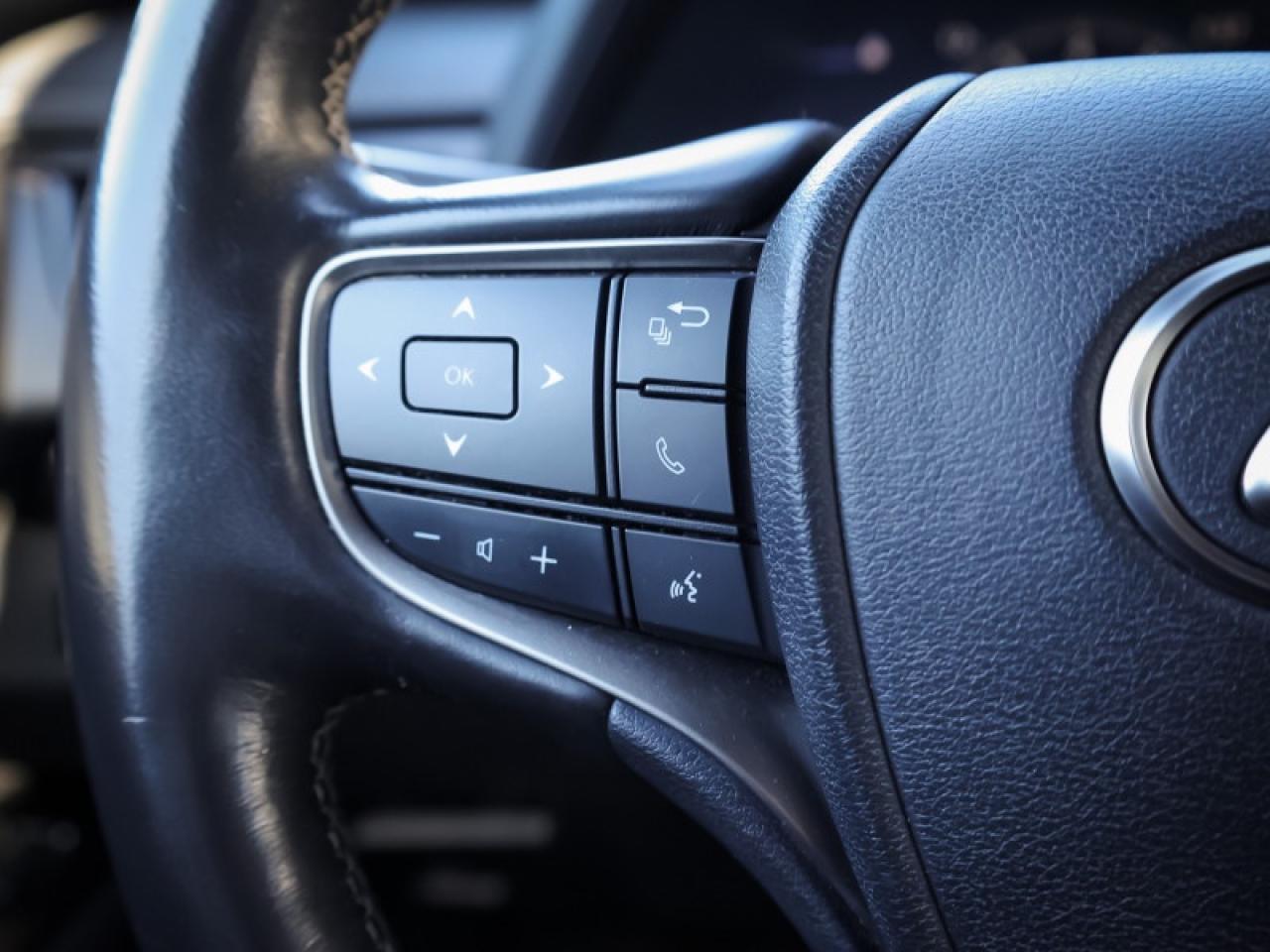 2020 Lexus UX Luxury Package  - Luxury Package - $243 B/W Photo