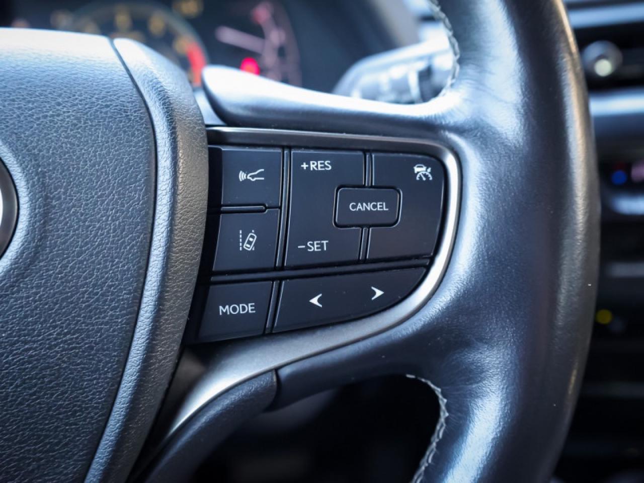 2020 Lexus UX Luxury Package  - Luxury Package - $243 B/W Photo