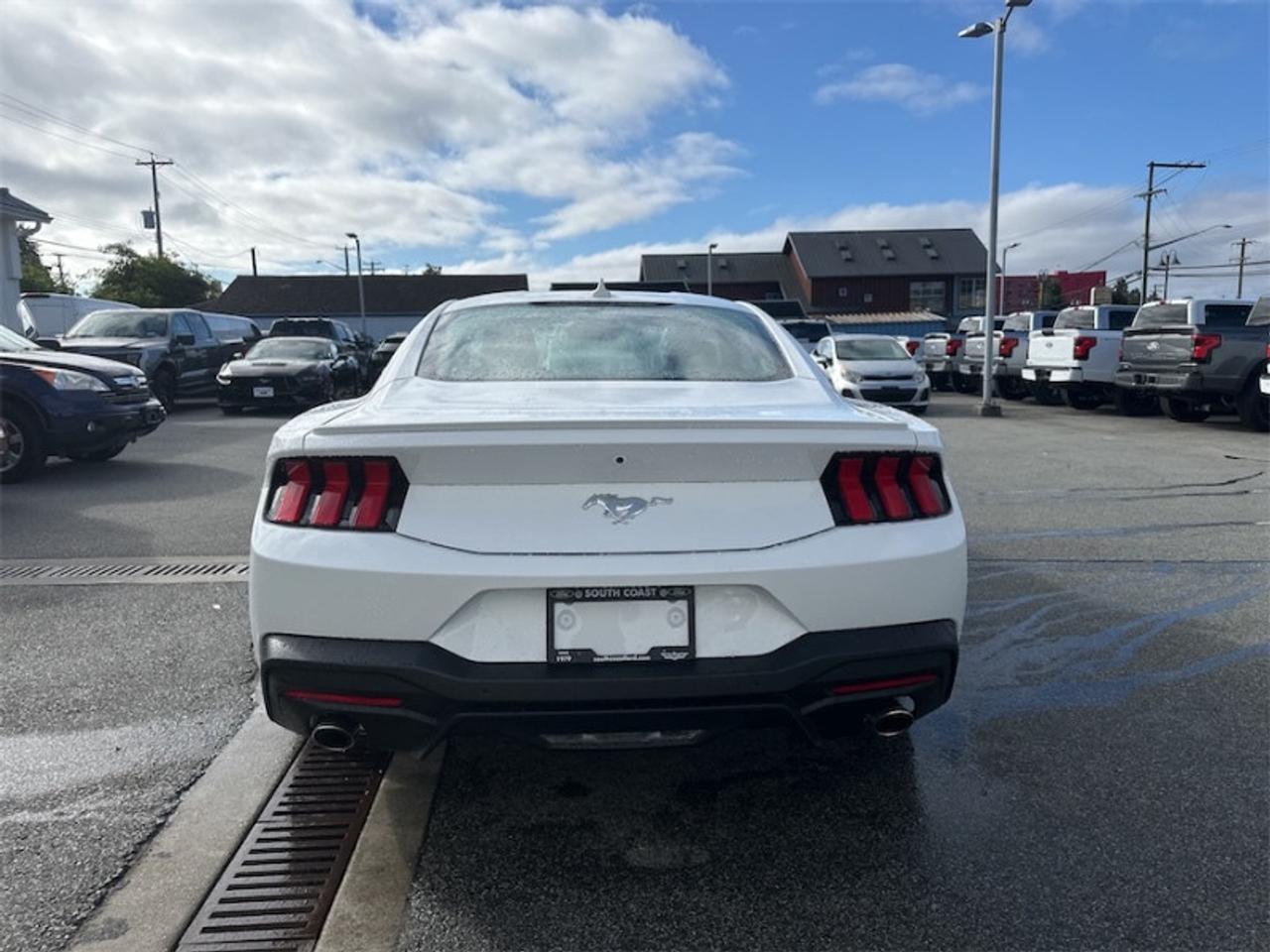 2025 Ford Mustang EcoBoost Premium  - Cooled Seats Photo3