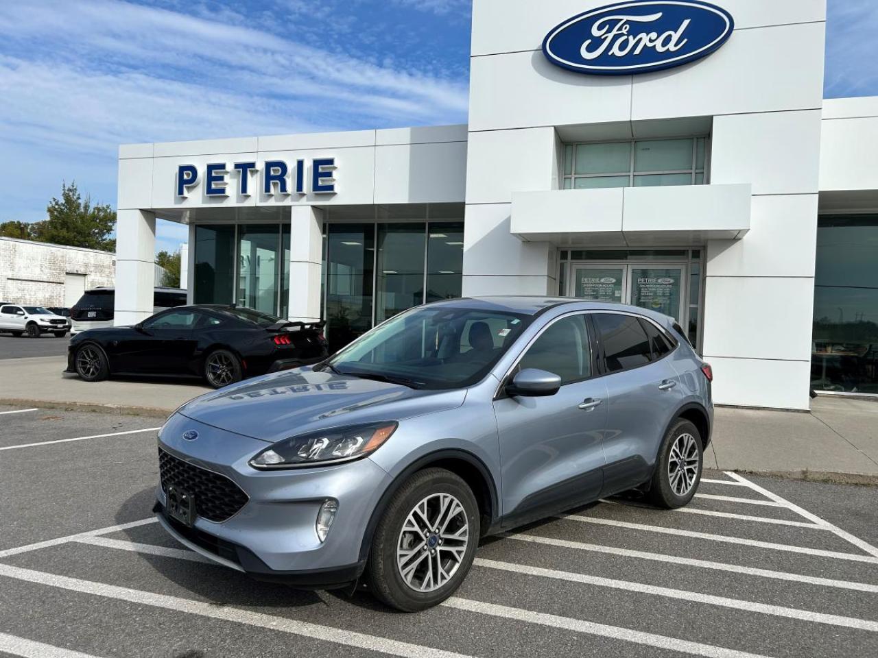 Used 2022 Ford Escape 4DR SEL FHEV for sale in Kingston, ON