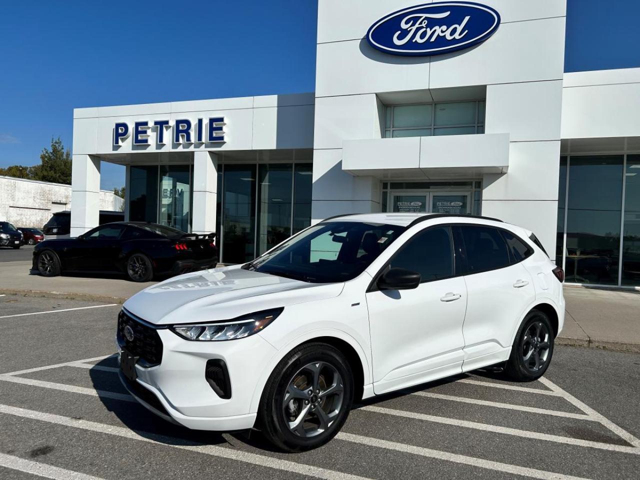 Used 2023 Ford Escape ST-Line for sale in Kingston, ON