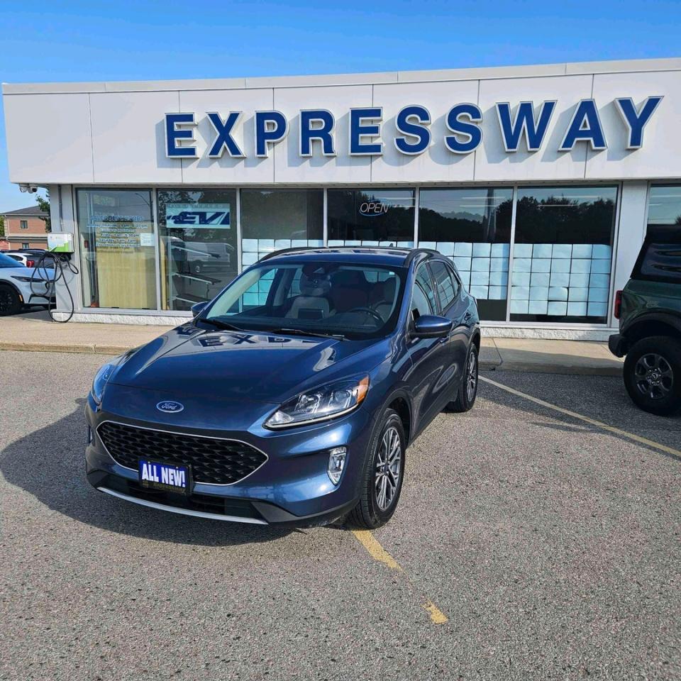 Used 2020 Ford Escape SEL for sale in Stratford, ON