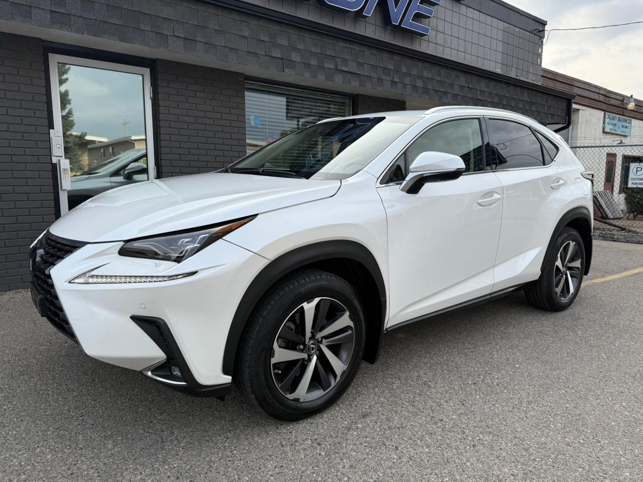 2019 Lexus NX NX 300 w/ Executive Package - Photo #7