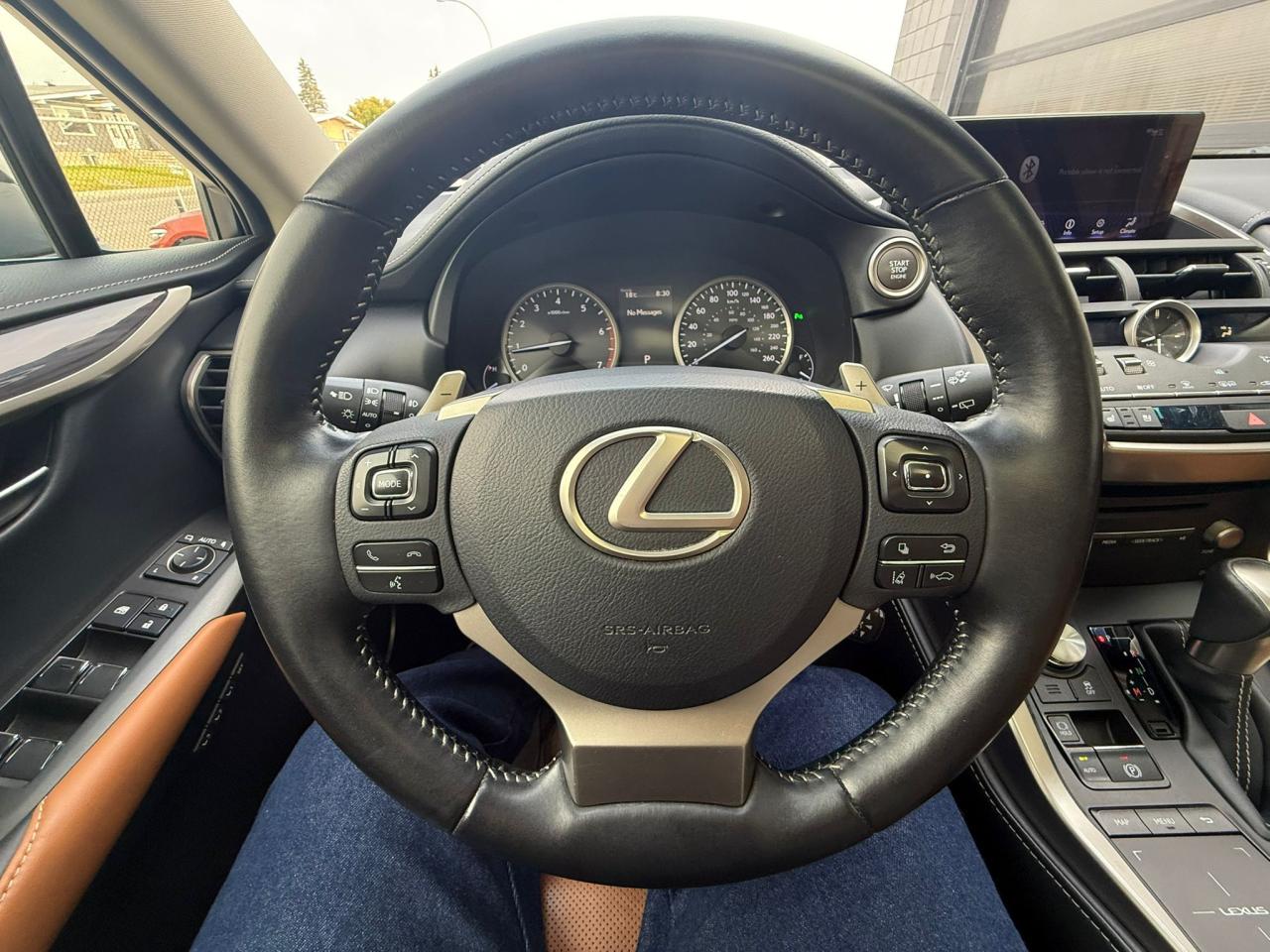2019 Lexus NX NX 300 w/ Executive Package - Photo #20