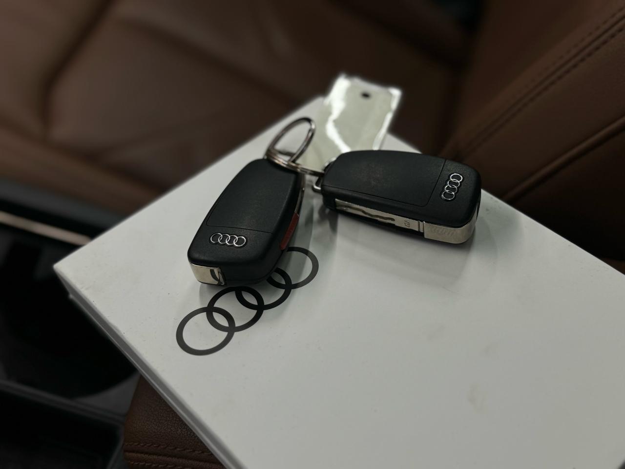 2019 Audi Q3 S-LINE|PROGRESSIV|PANO|BACKUP|BSM|LKA|CARPLAY| - Photo #21