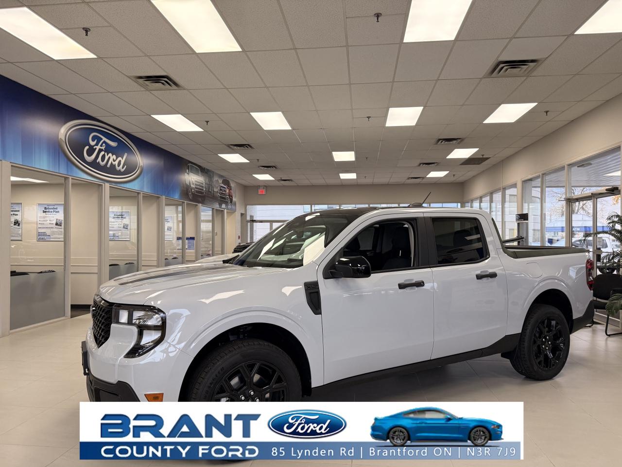 New 2025 Ford Maverick XLT for sale in Brantford, ON