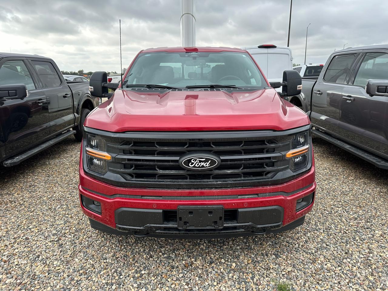 2025 Ford F-150 XLT 4WD SuperCrew 5.5' Box 302A Photo