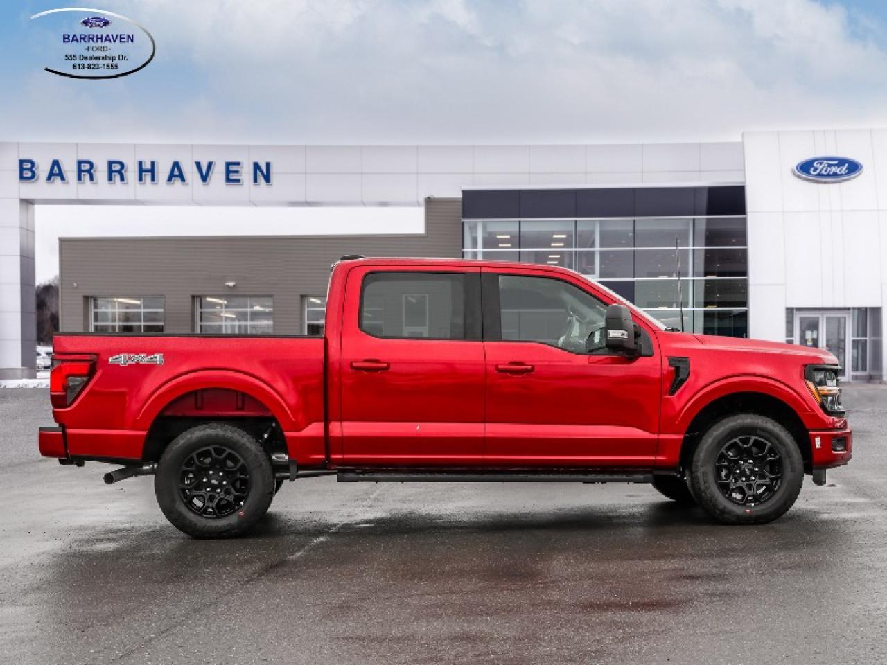 2025 Ford F-150 XLT Photo