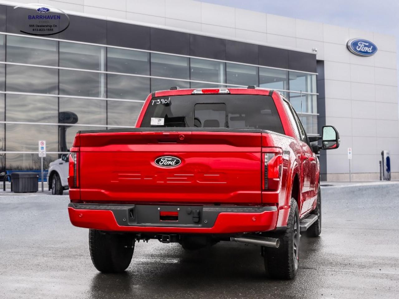 2025 Ford F-150 XLT Photo