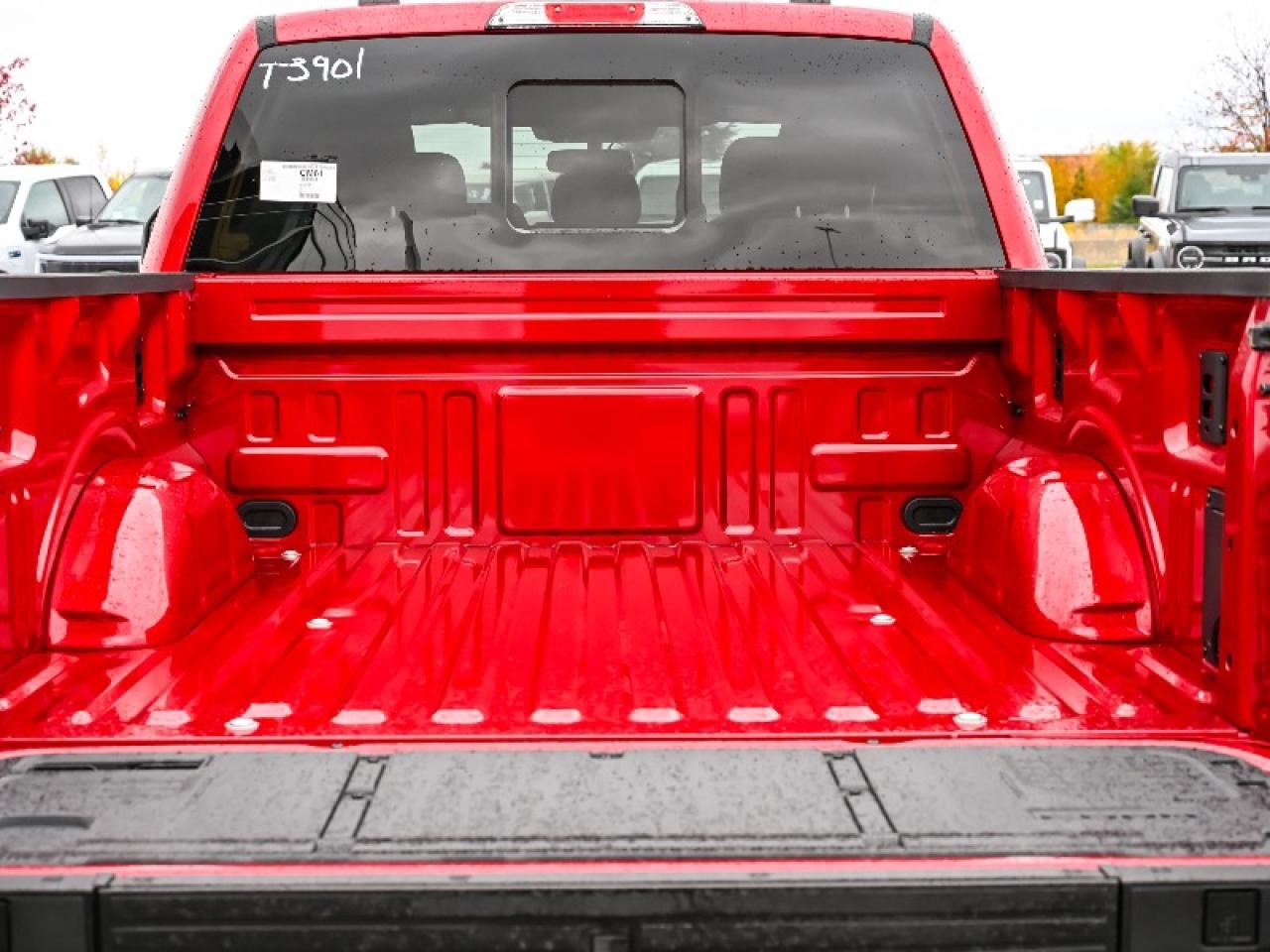 2025 Ford F-150 XLT Photo