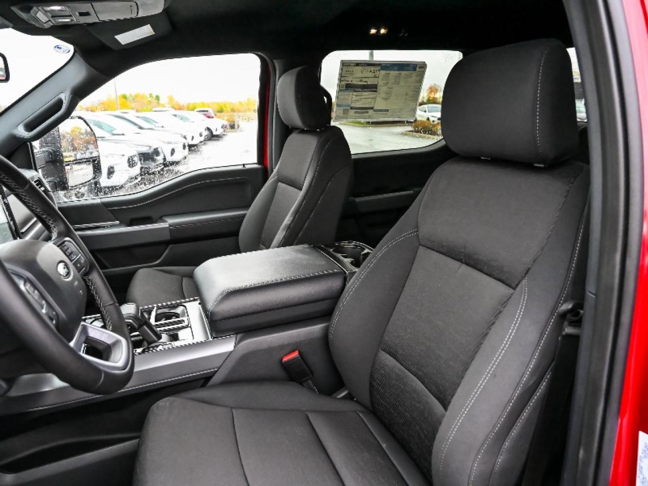 2025 Ford F-150 XLT Photo