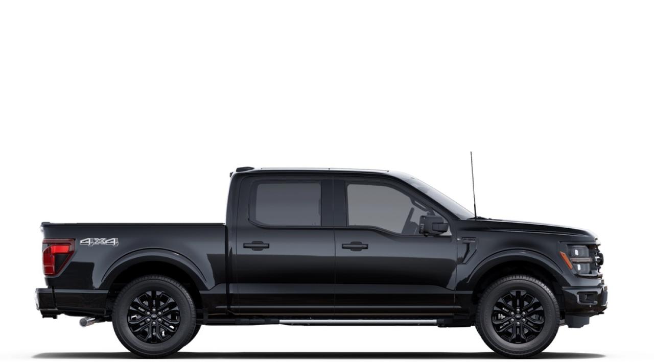 2025 Ford F-150 XLT Photo4