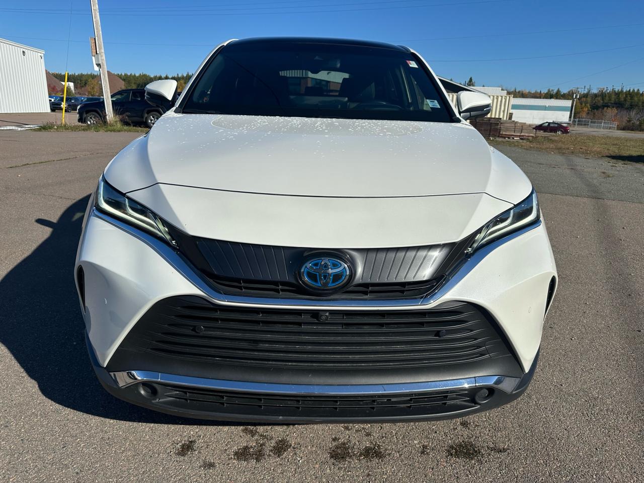 2021 Toyota Venza LIMITED AWD Photo