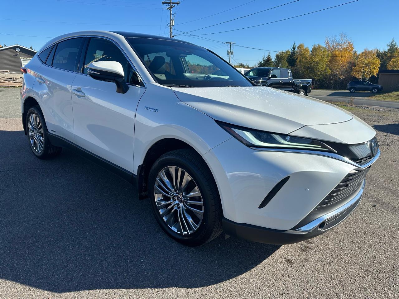 2021 Toyota Venza LIMITED AWD Photo2