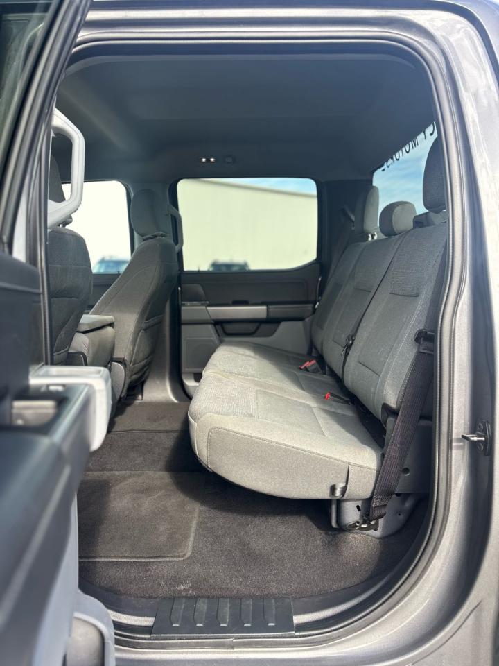 2024 Ford F-150  Photo4