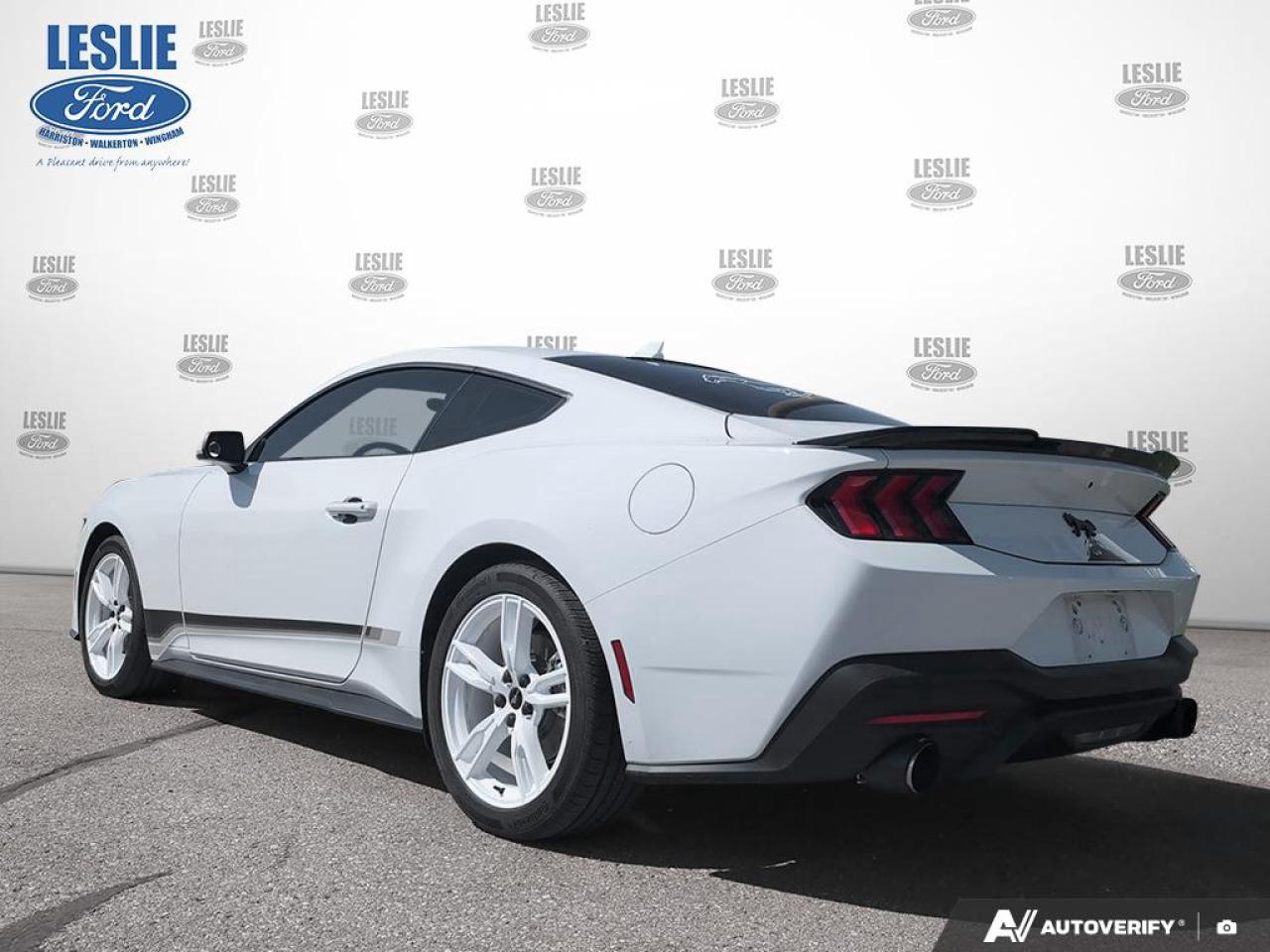 2024 Ford Mustang EcoBoost Fastback Photo