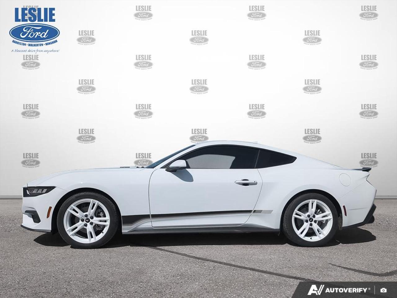 2024 Ford Mustang EcoBoost Fastback Photo