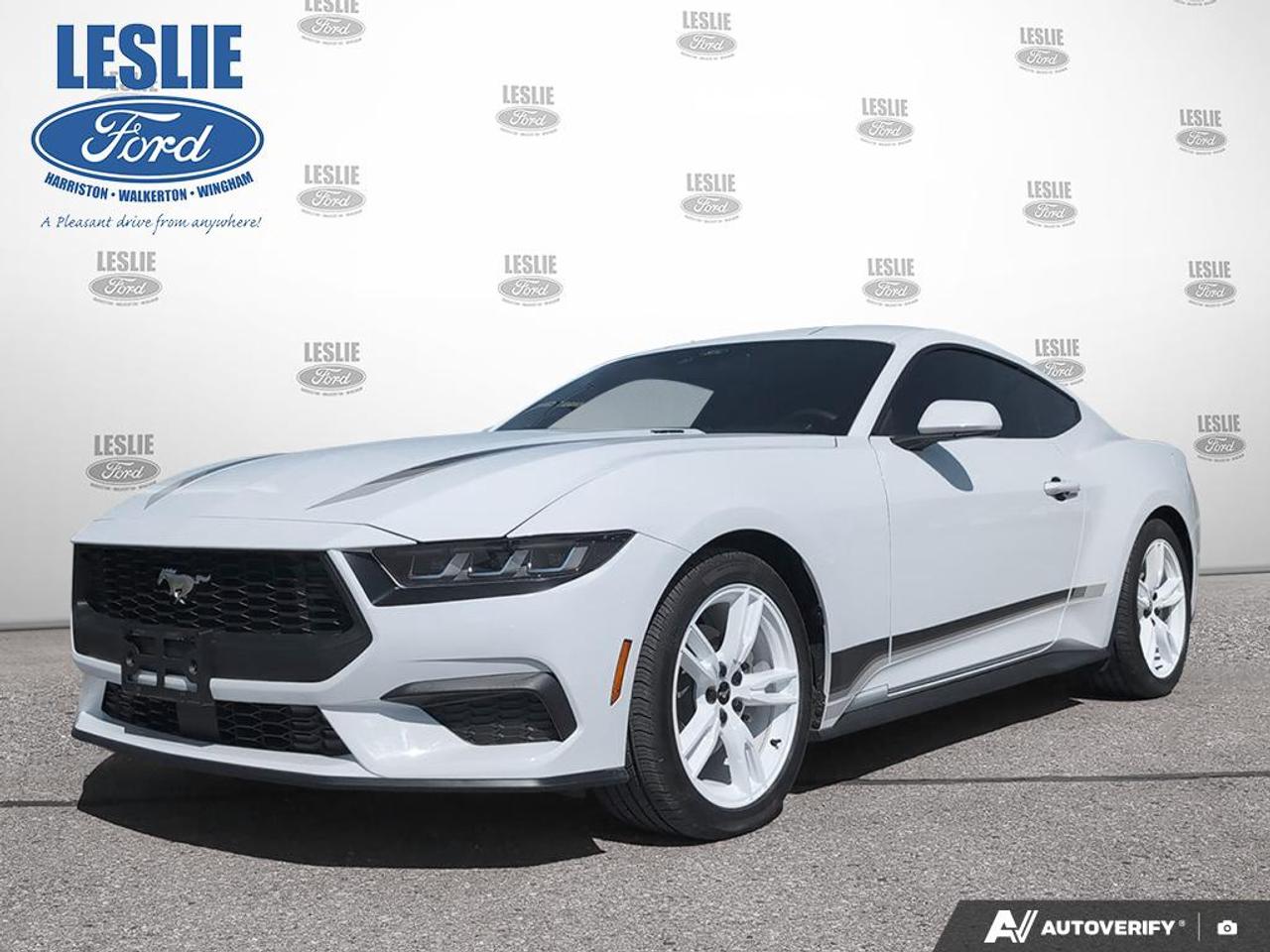 2024 Ford Mustang EcoBoost Fastback Photo0