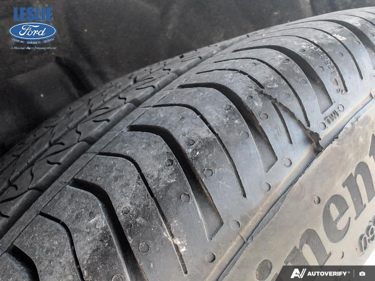 2024 Ford Mustang EcoBoost Fastback Photo