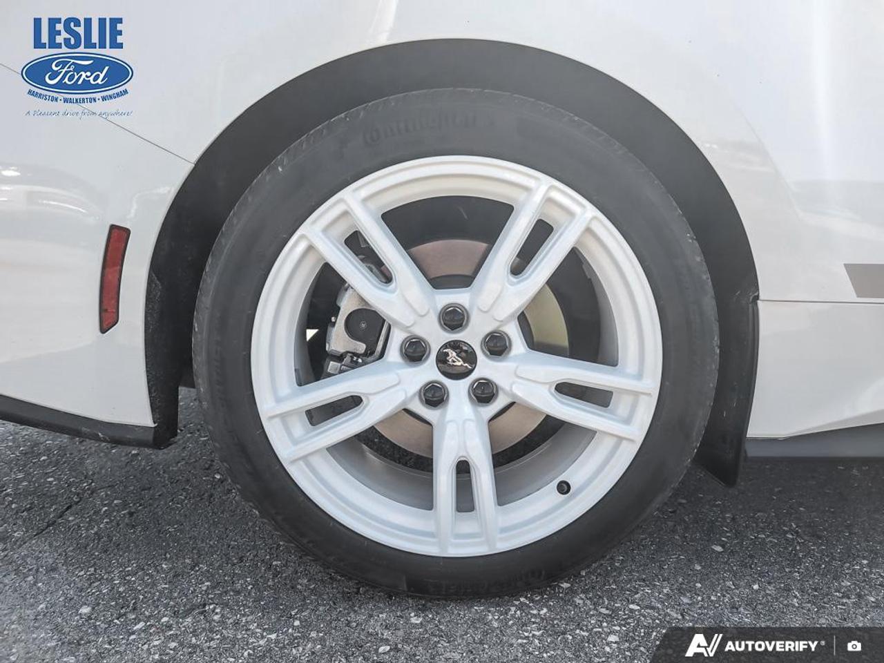 2024 Ford Mustang EcoBoost Fastback Photo