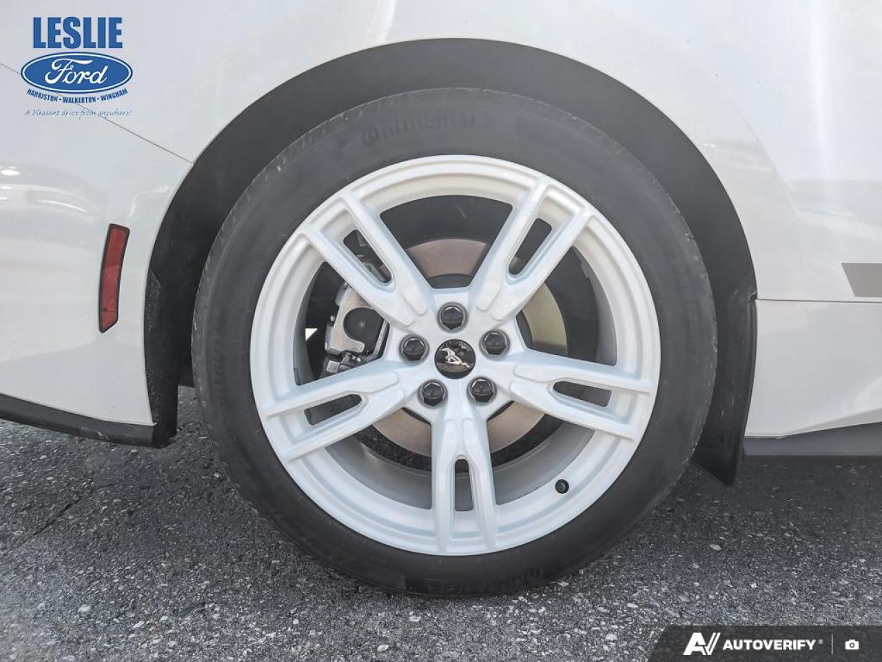 2024 Ford Mustang EcoBoost Fastback Photo