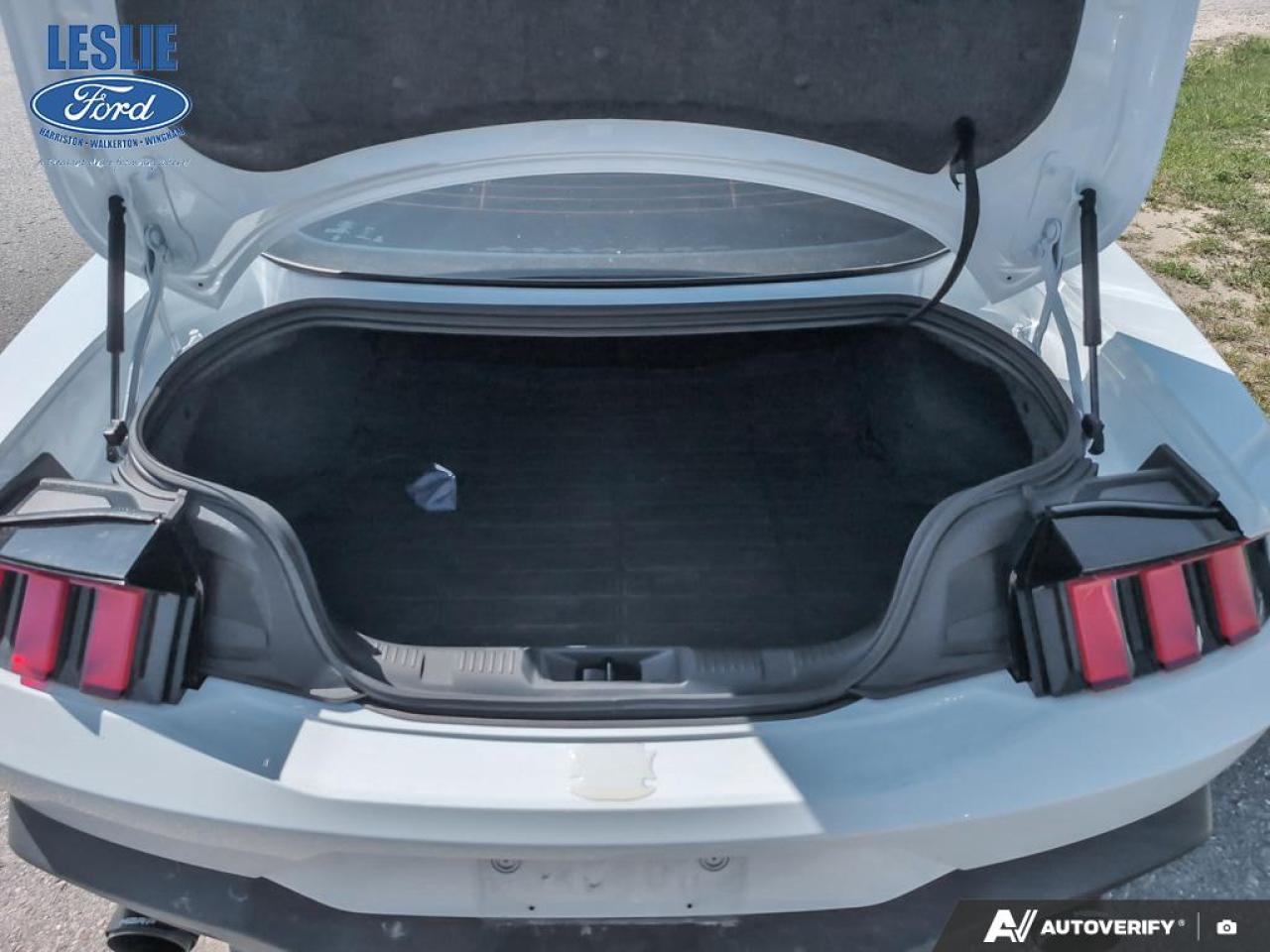 2024 Ford Mustang EcoBoost Fastback Photo