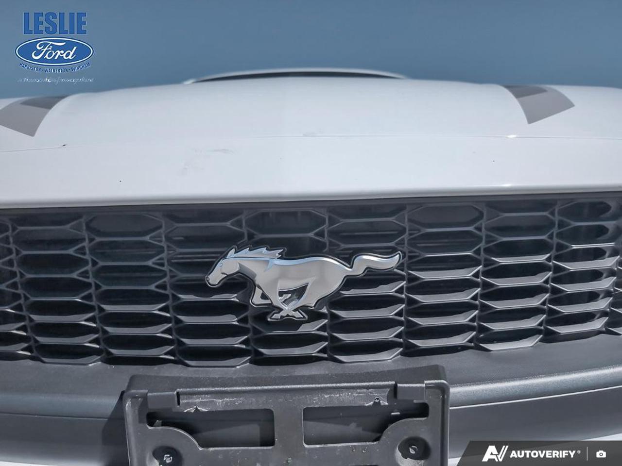 2024 Ford Mustang EcoBoost Fastback Photo
