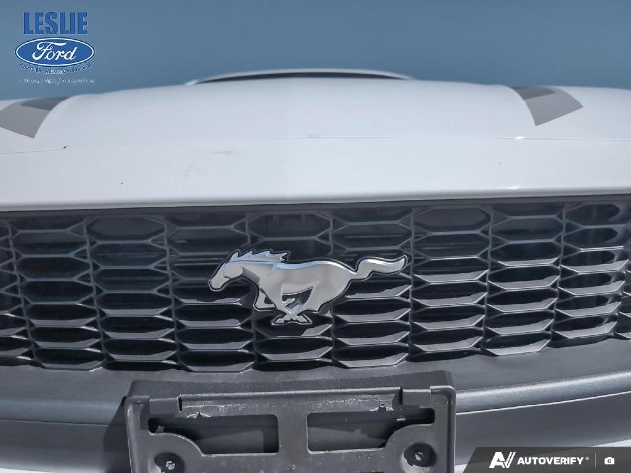 2024 Ford Mustang EcoBoost Fastback Photo