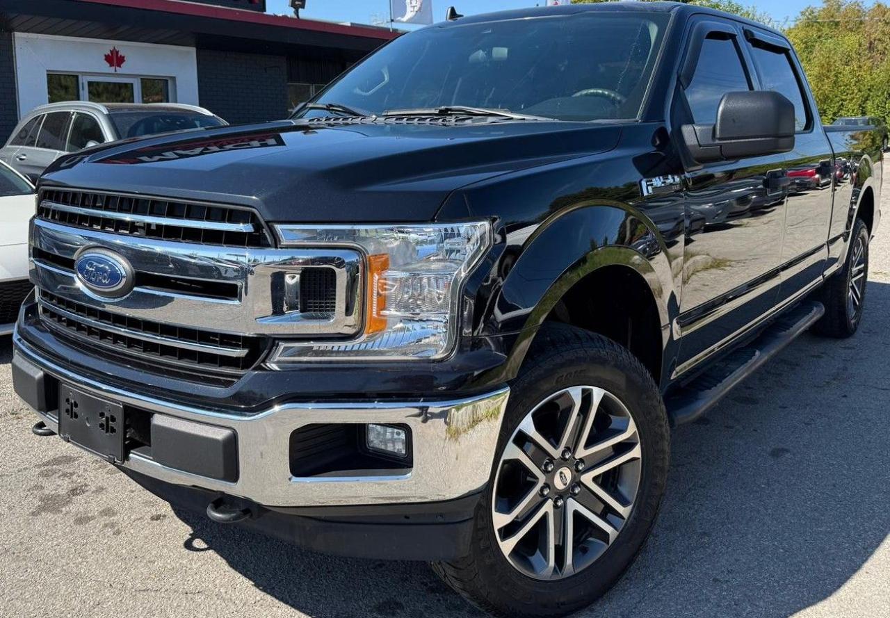 2019 Ford F-150 XLT / NO ACCIDENTS / 5.0L / 4X4 / CREW CAB - Photo #1