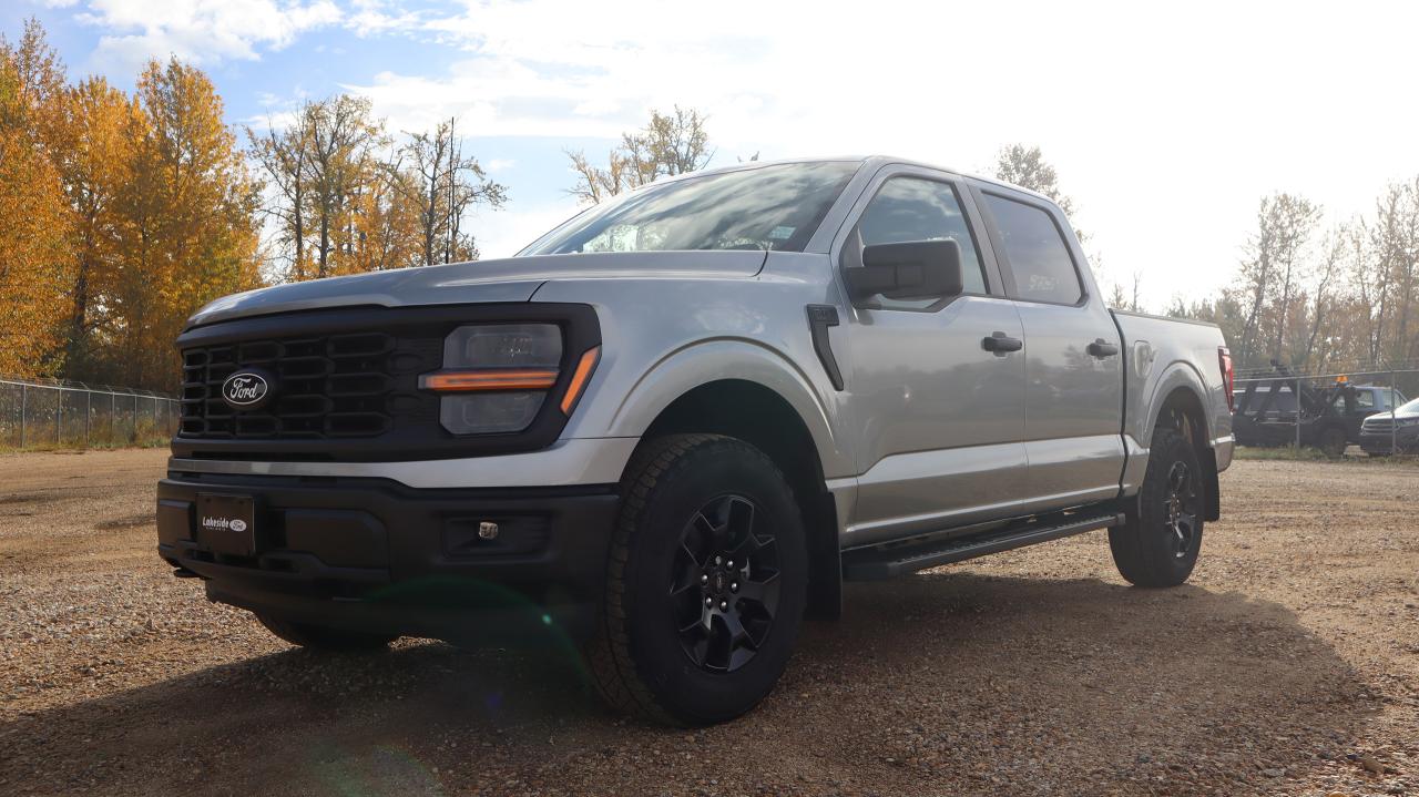 2025 Ford F-150 STX Photo