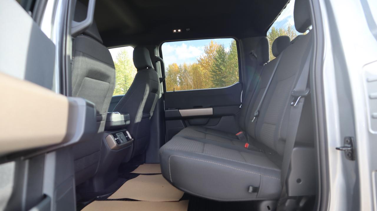 2025 Ford F-150 STX Photo5