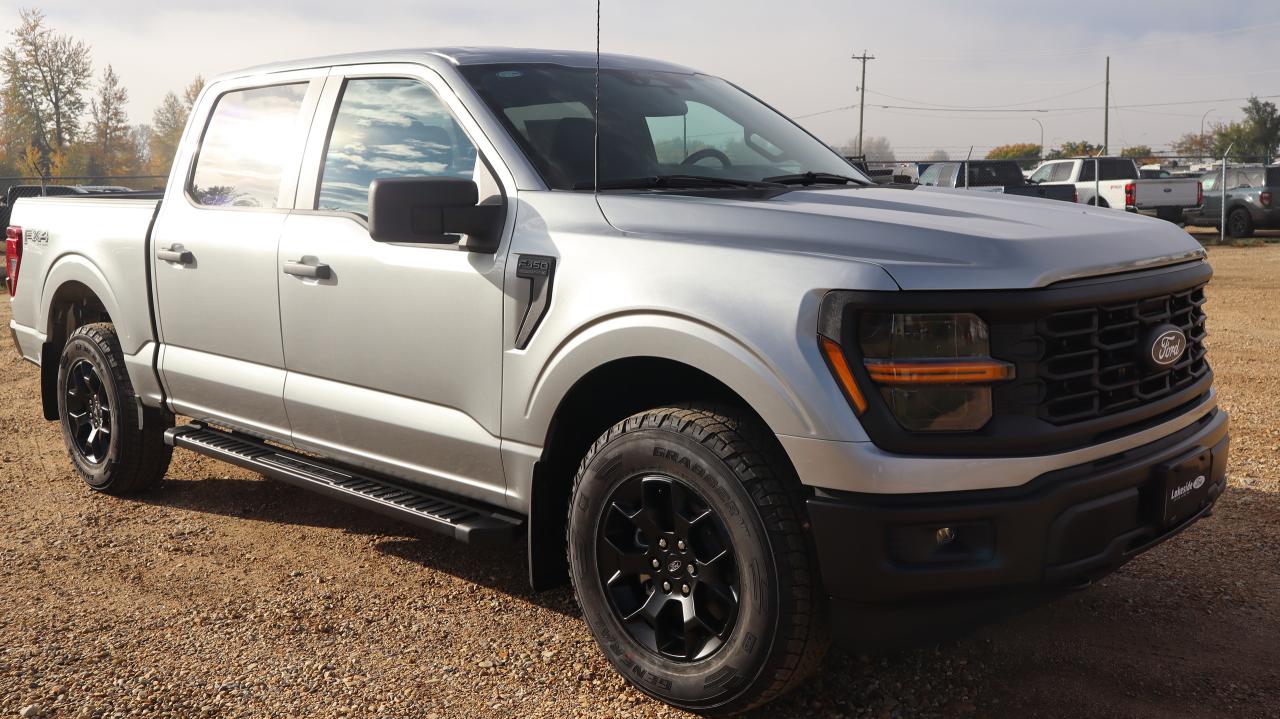 2025 Ford F-150 STX Photo