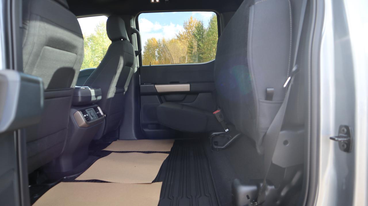 2025 Ford F-150 STX Photo5