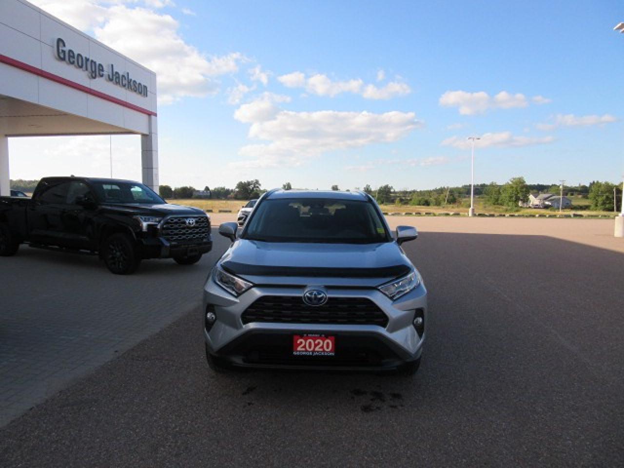 2020 Toyota RAV4 Hybrid XLE Photo