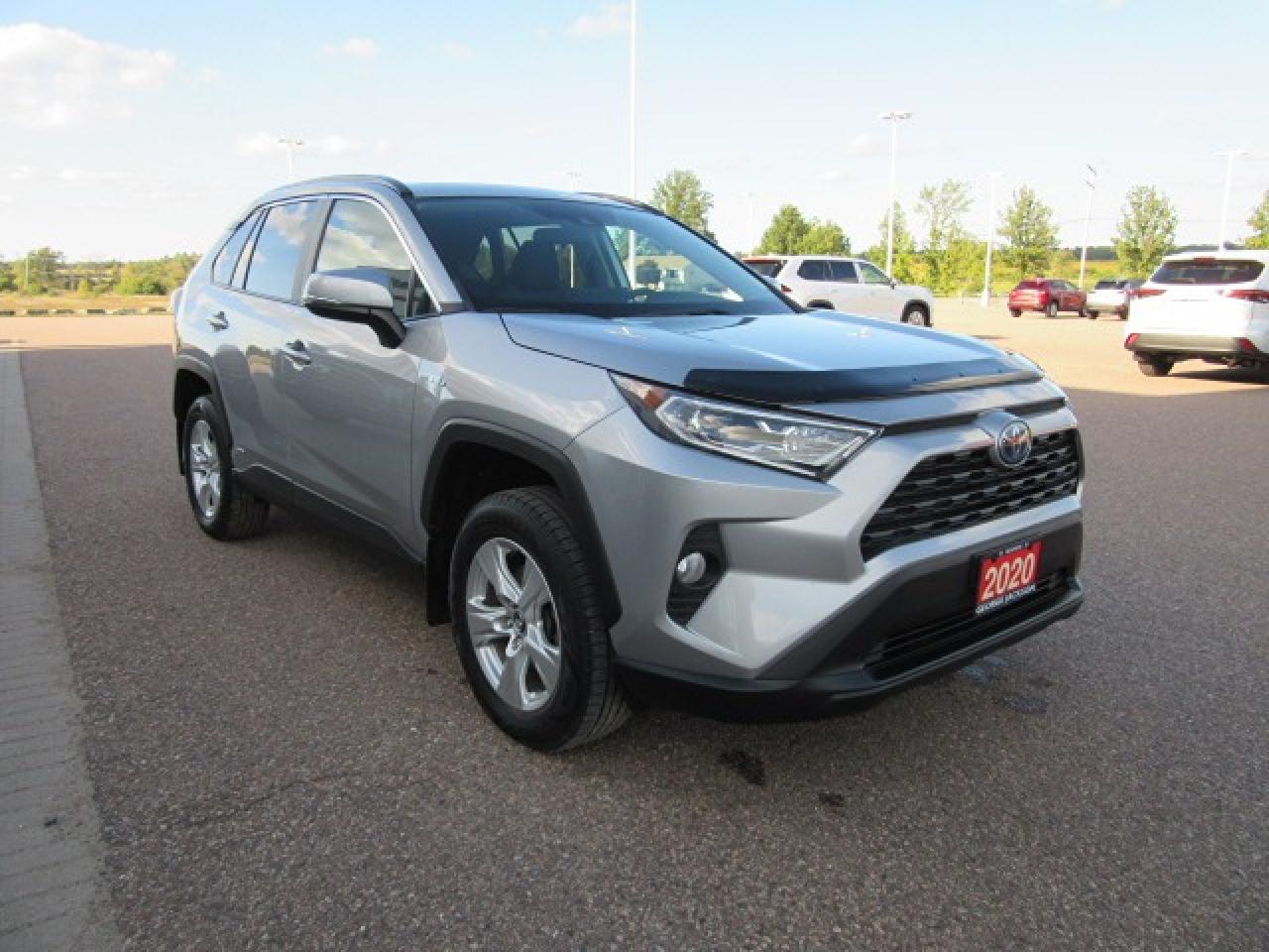 2020 Toyota RAV4 Hybrid XLE Photo