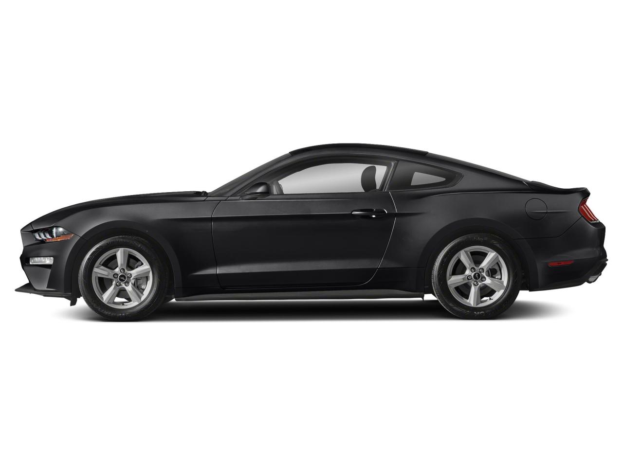 2021 Ford Mustang EcoBoost Photo5