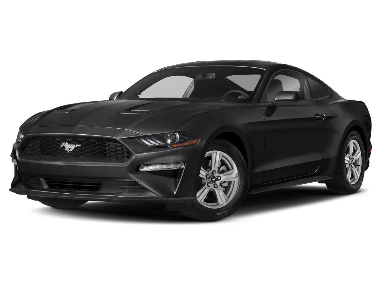 2021 Ford Mustang EcoBoost Photo0