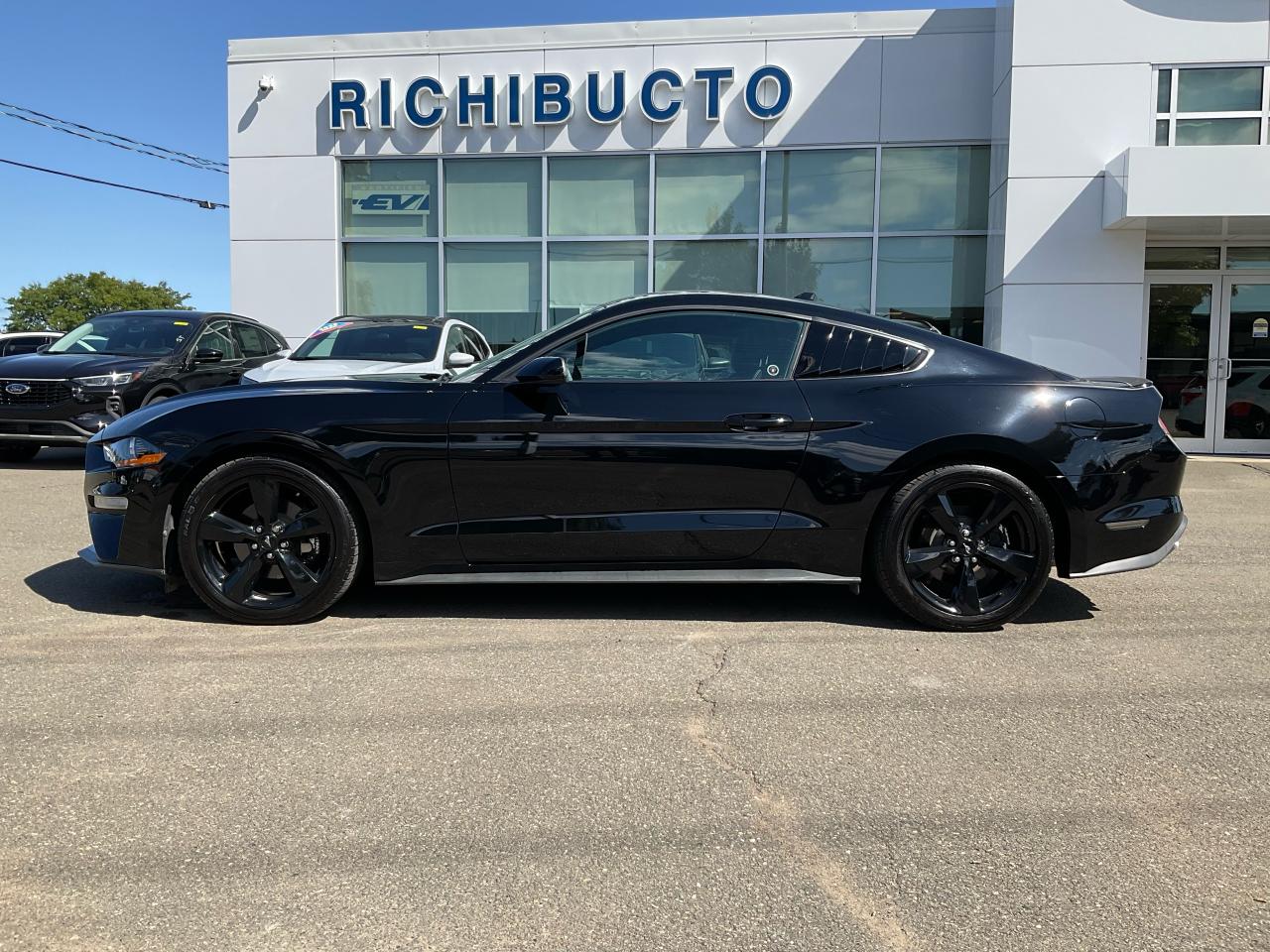 2021 Ford Mustang EcoBoost Photo