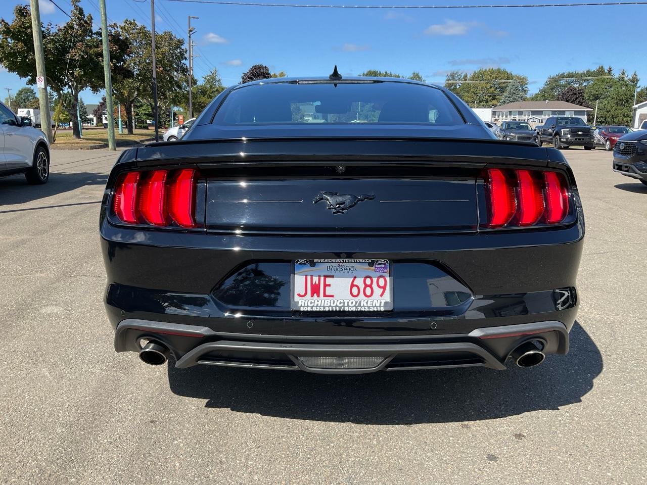 2021 Ford Mustang EcoBoost Photo5