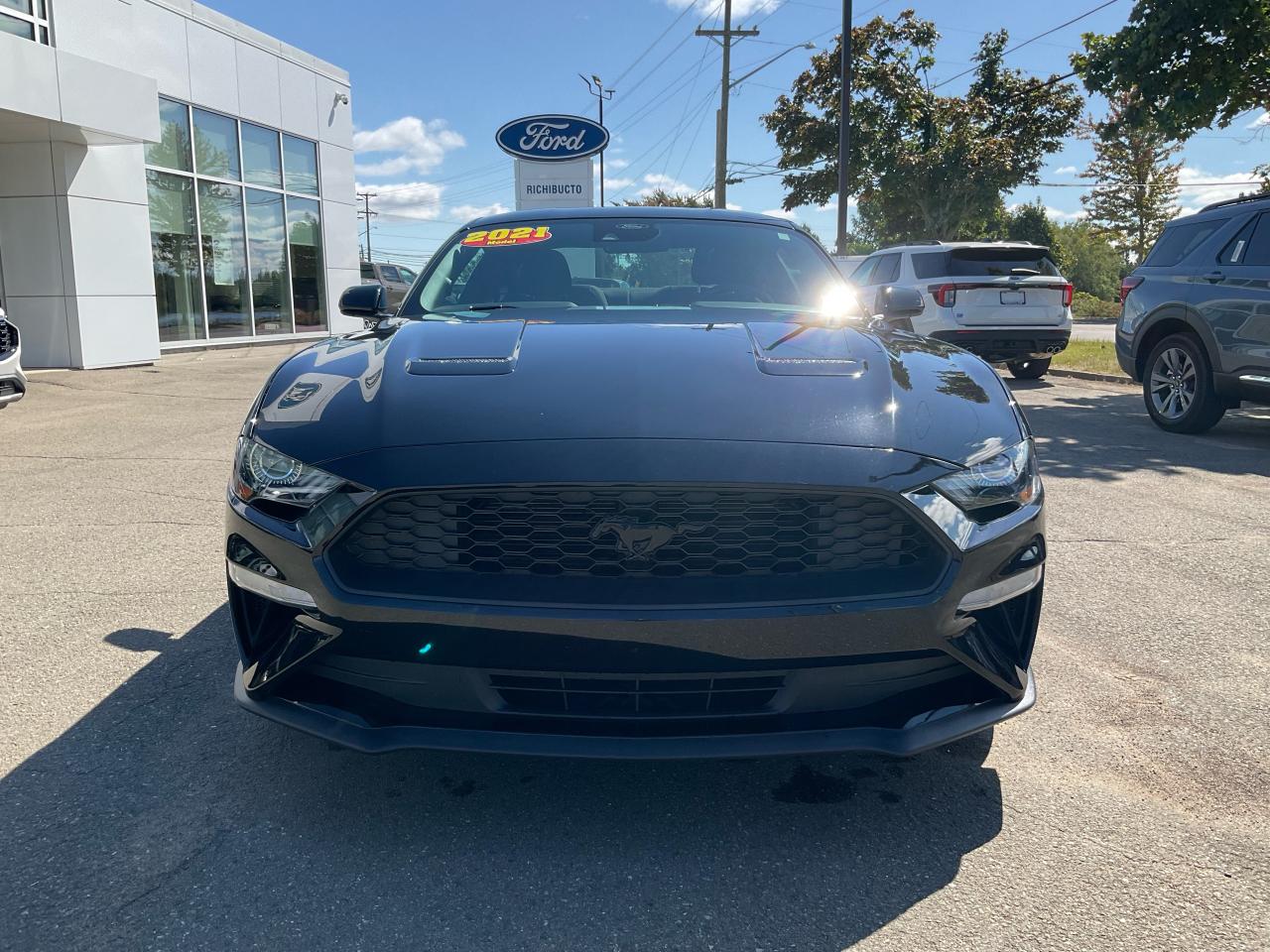 2021 Ford Mustang EcoBoost Photo5