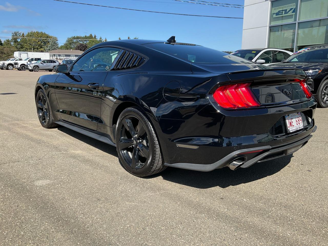 2021 Ford Mustang EcoBoost Photo5