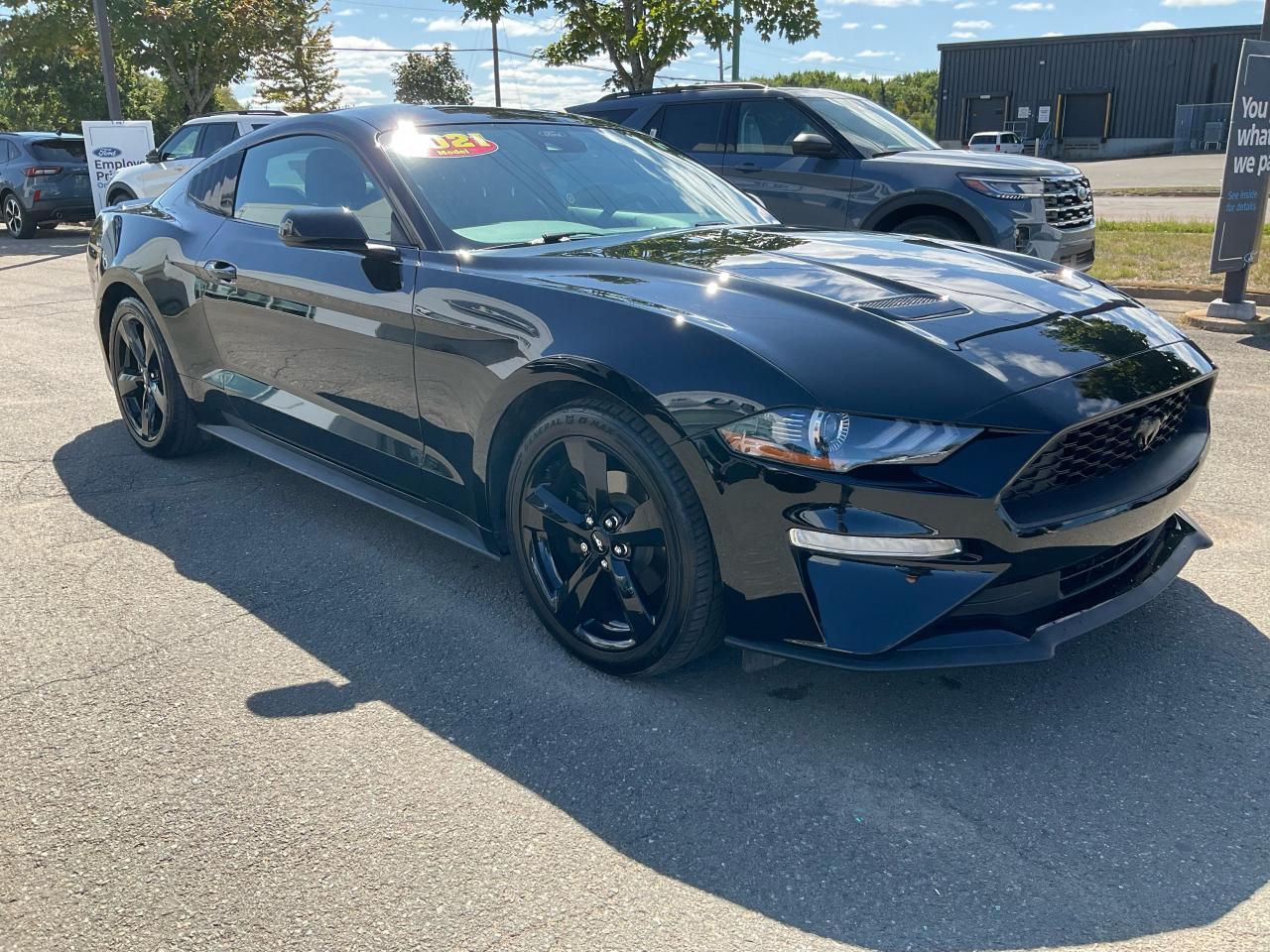 2021 Ford Mustang EcoBoost Photo2