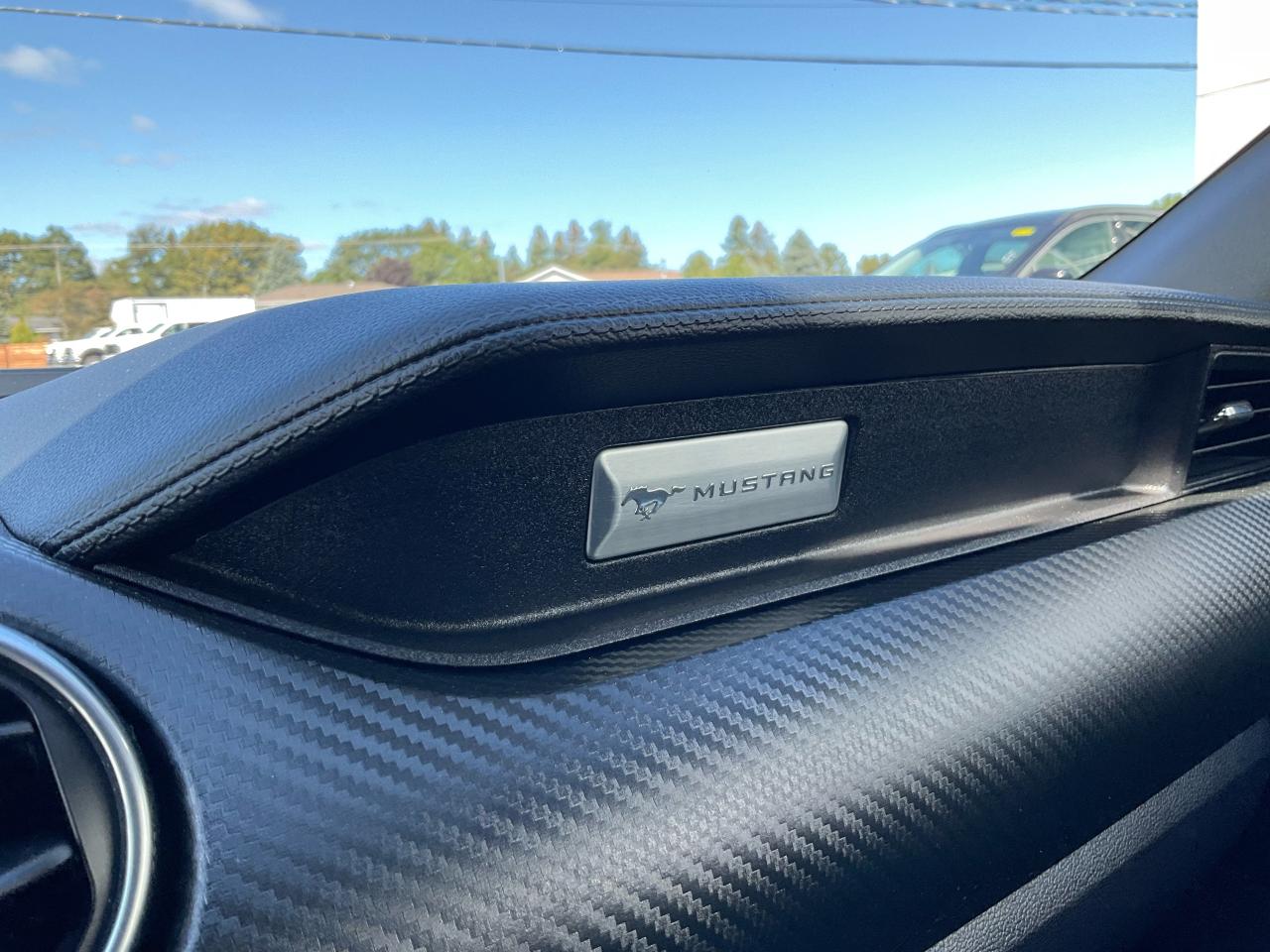 2021 Ford Mustang EcoBoost Photo5